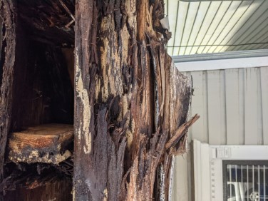 close up of rotted fascia